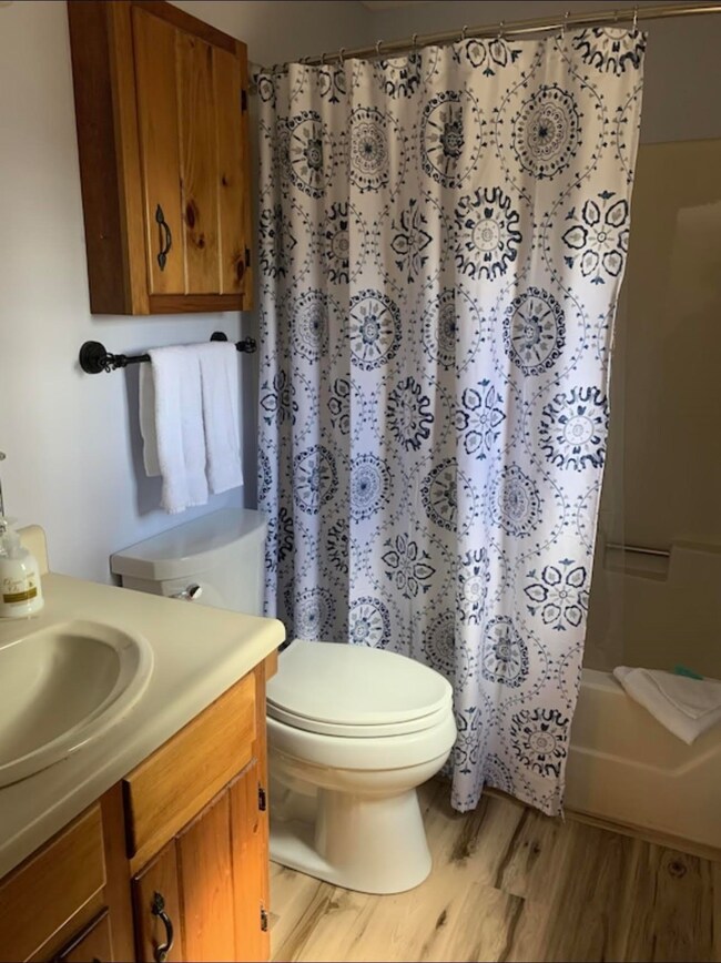 3128 White Mountain Hwy unit 5, North Conway, NH 03860 - photo 5