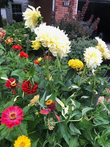 118 Huntington St unit 25E, Lake Bluff, IL 60044 - photo 3