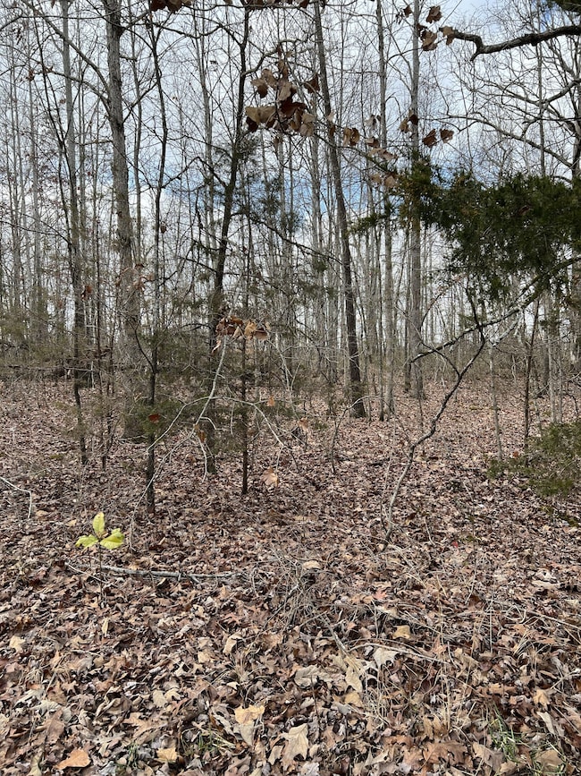 0 Cheyenne Cir, Beechgrove, TN 37018 - photo 5