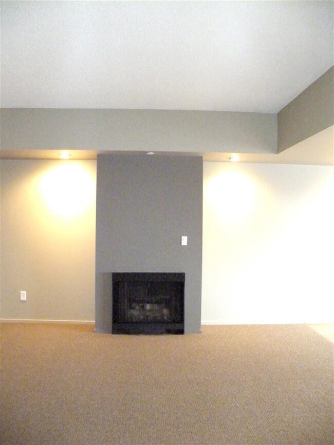 Gas fireplace