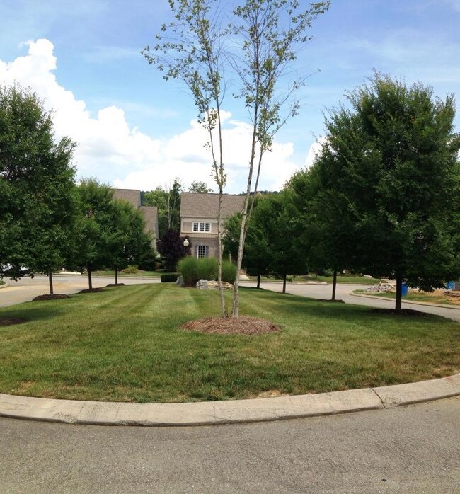 Lovely green space out front