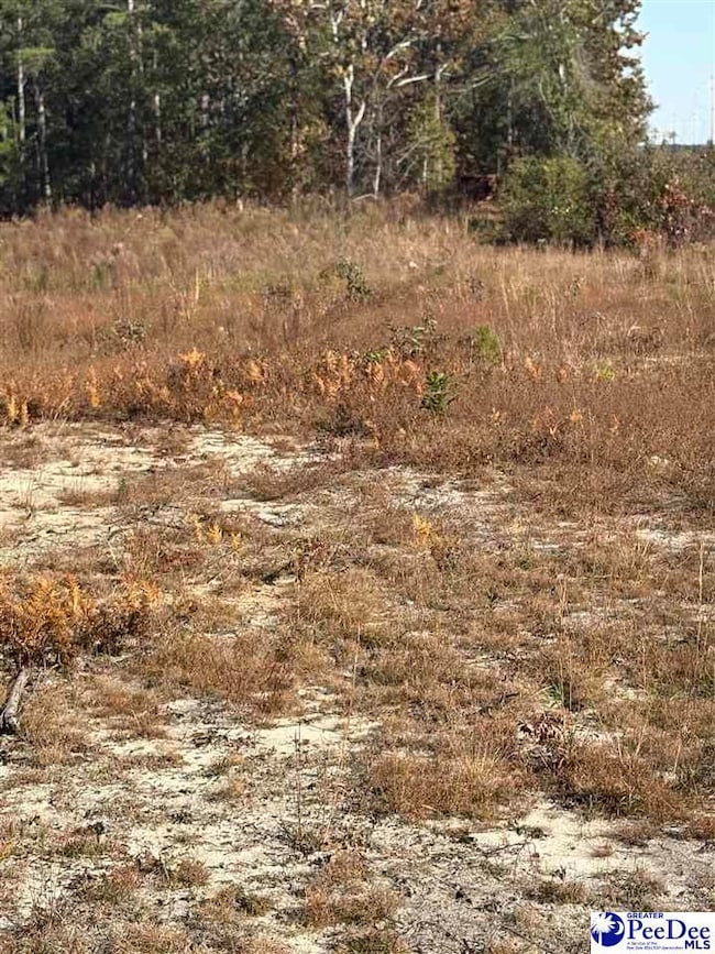 TBD Ruby Rd, Hartsville, SC 29550 - photo 6