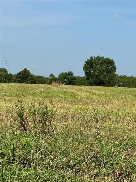 0 Lone Star Rd unit HMS2565805, Osawatomie, KS 66071 - photo 2