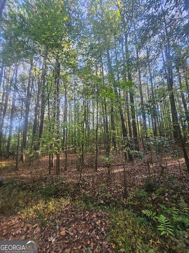 4861 Moon Rd, Powder Springs, GA 30127 - photo 3