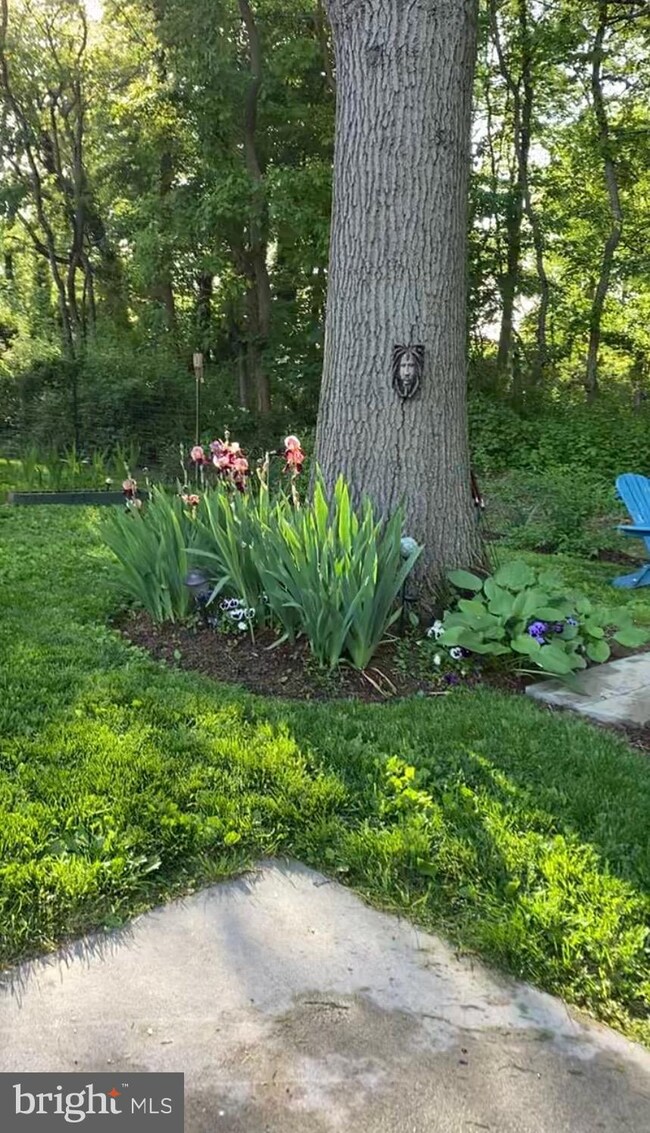 209 Greenhill Ct, Ranson, WV 25438 - photo 3