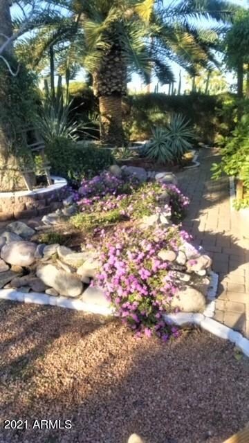 JS FLOWERS