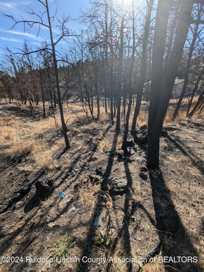unlisted-address, Ruidoso, NM 88345 - photo 3