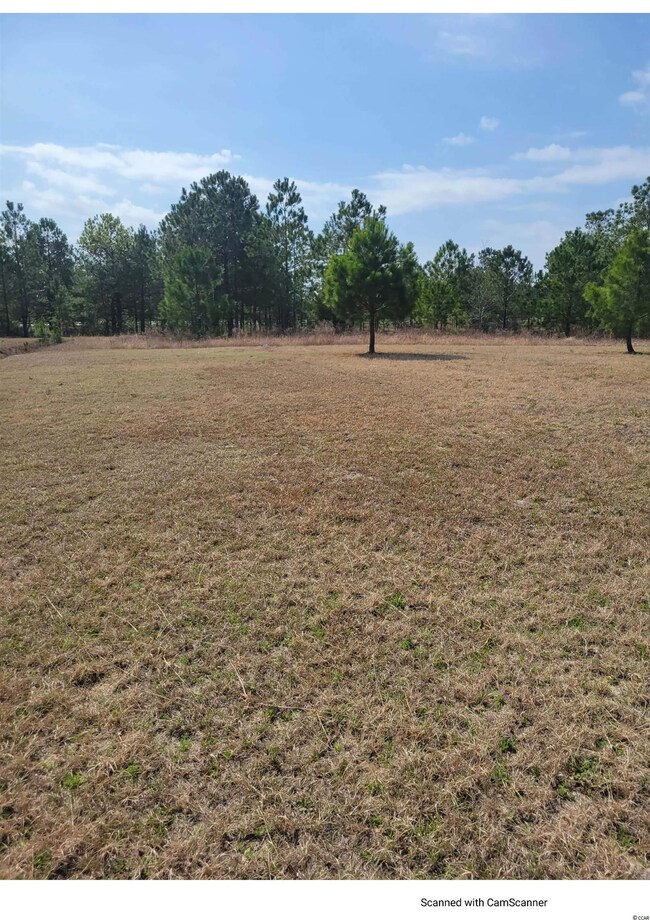 5300 Pebble Ln, Conway, SC 29526 - photo 2