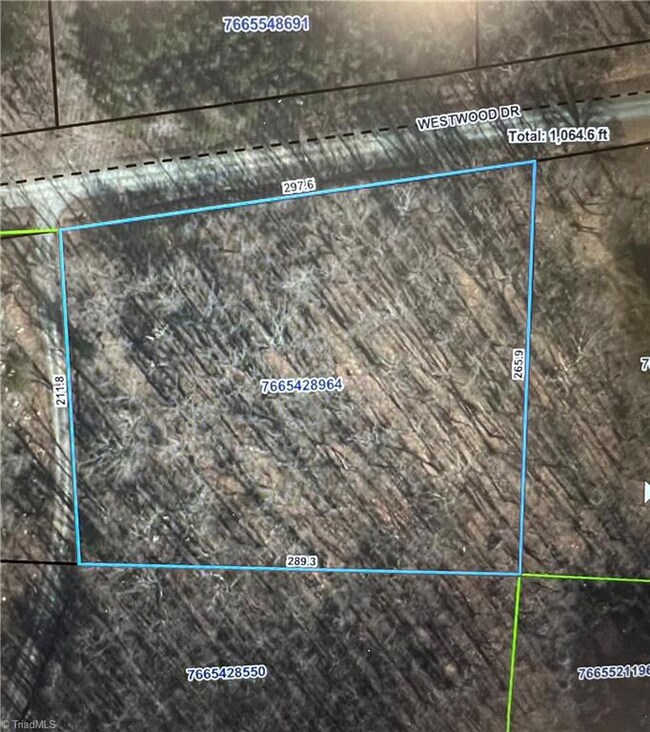 0 Westwood Dr, Seagrove, NC 27341 - photo 2