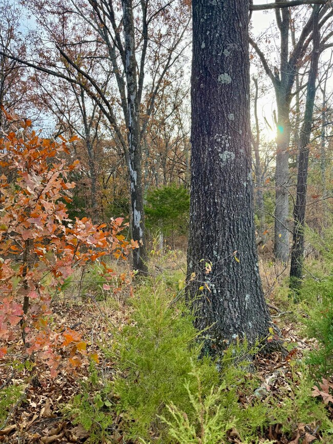 004 E 1650 Rd, Stockton, MO 65785 - photo 4