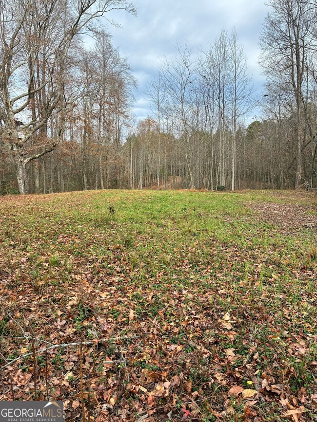 0 Yukon Rd unit 10649657, Ellijay, GA 30536 - photo 3