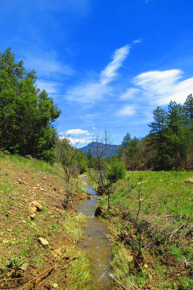 33785 Hiddenwood Ln unit C52, Trinidad, CO - photo 4