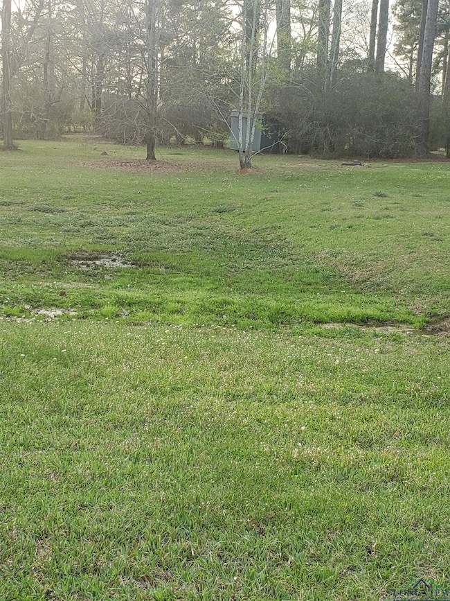 208 Piney Loop, Marshall, TX 75672 - photo 2