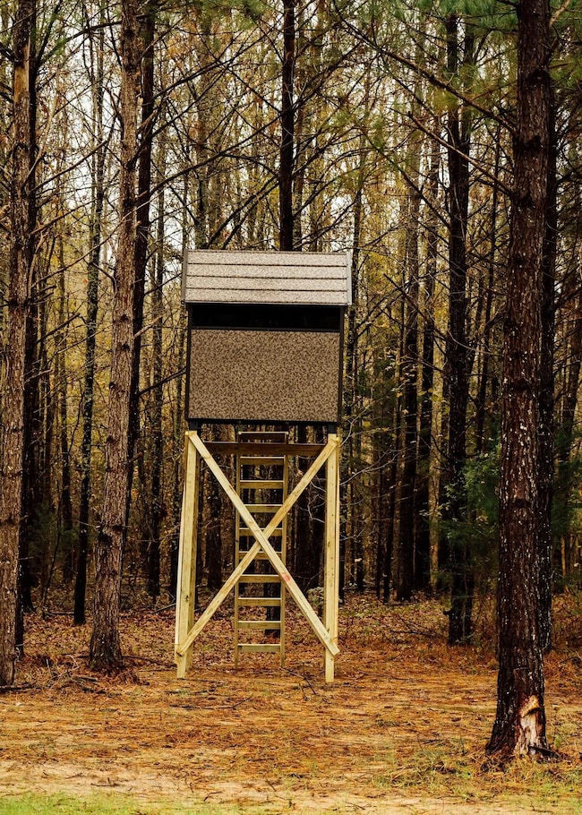 Black Jack Rd, Benton, MS 39039 - photo 5