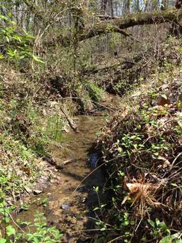 000 Highway 183, Walhalla, SC 29691 - photo 3