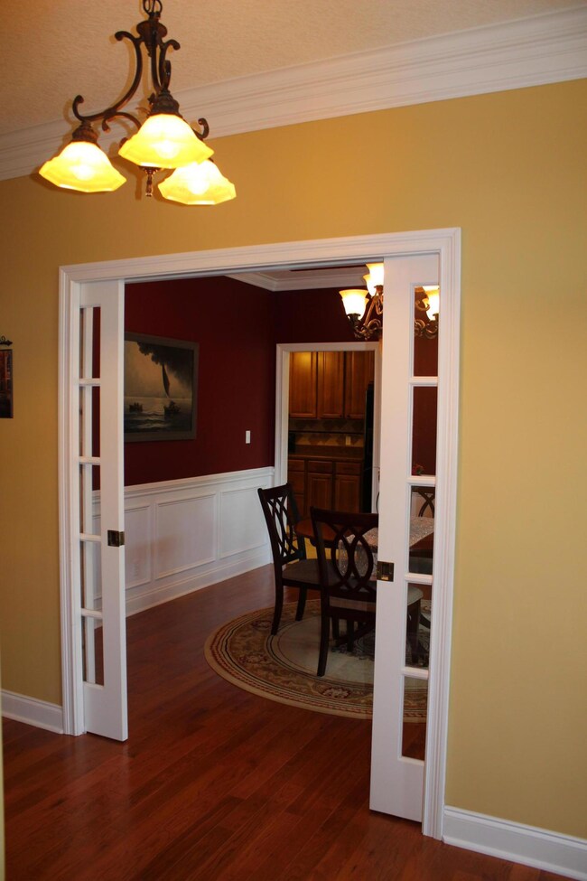 Pocket doors