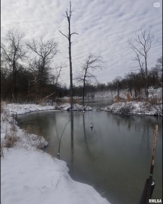 208 Dewmaine Ln, Carterville, IL 62918 - photo 3