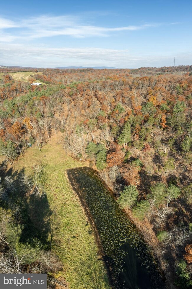 N N Frederick Pike, Whitacre, VA 22625 - photo 7