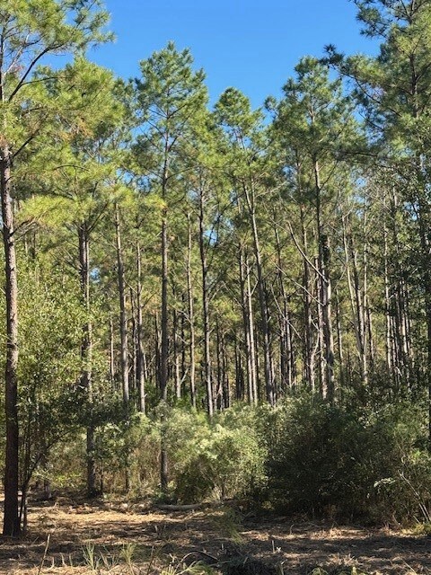 TBD FM 350 South, Lo Farm To Market 350, Livingston, TX 77351 - photo 6