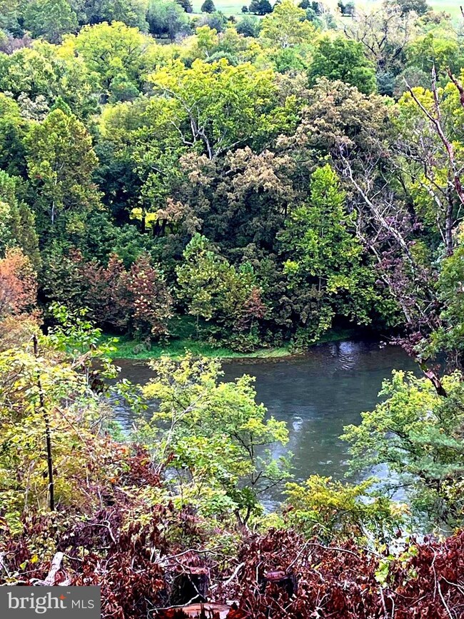 2 Shuler Ln, Stanley, VA 22851 - photo 7