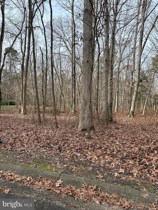 30 Muskingum Dr, Shamong, NJ 08088 - photo 2