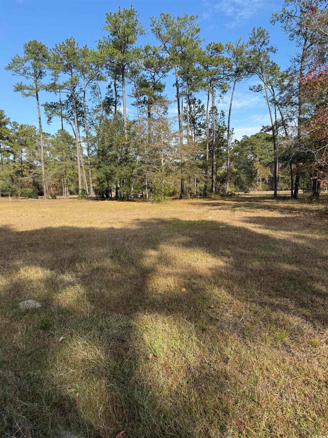 867 Denali Dr, Conway, SC 29526 - photo 6