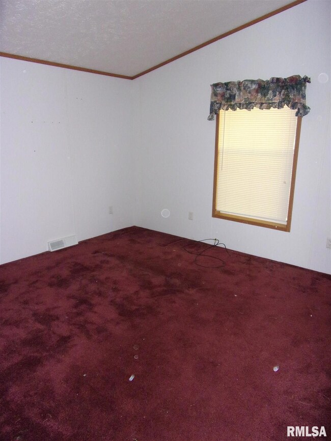 7302 State Route 161 Extension, Iuka, IL 62849 - photo 7