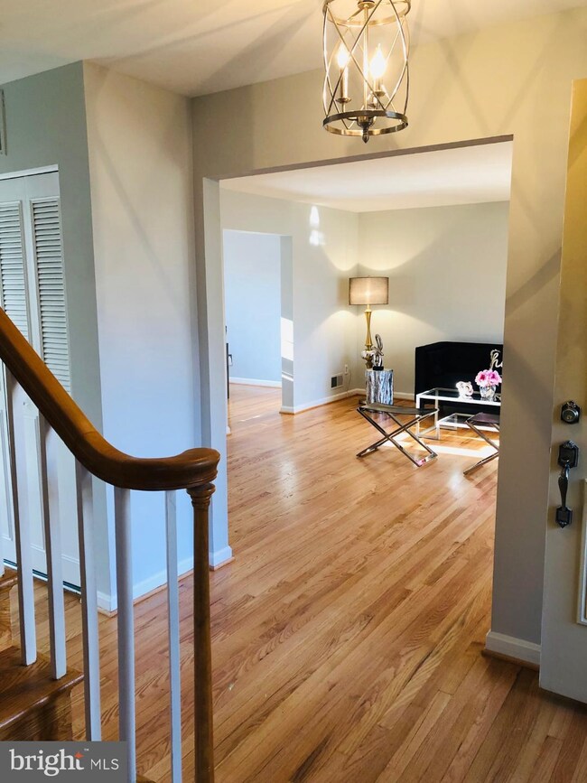 2308 Short Ridge Rd, Reston, VA 20191 - photo 4