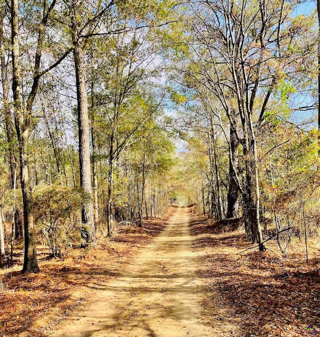 829 Pope Rd, Roberta, GA 31078 - photo 6