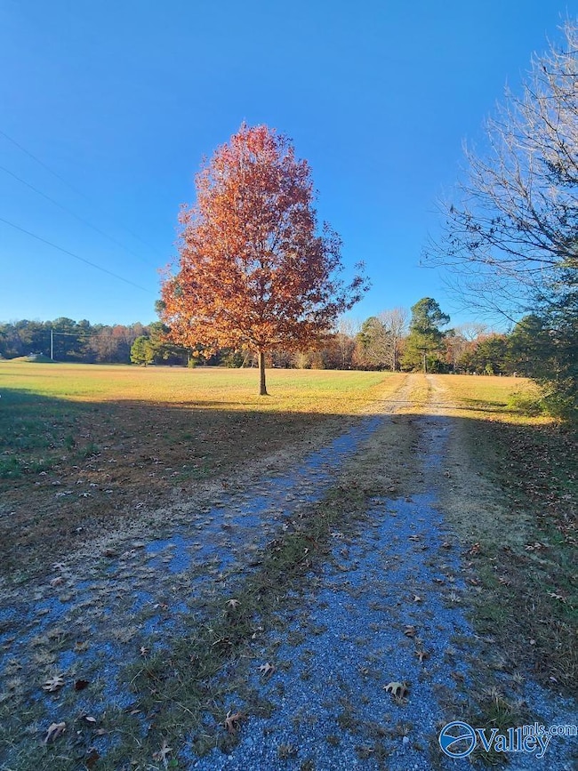 2121 County Road 79, Fort Payne, AL 35967 - photo 2