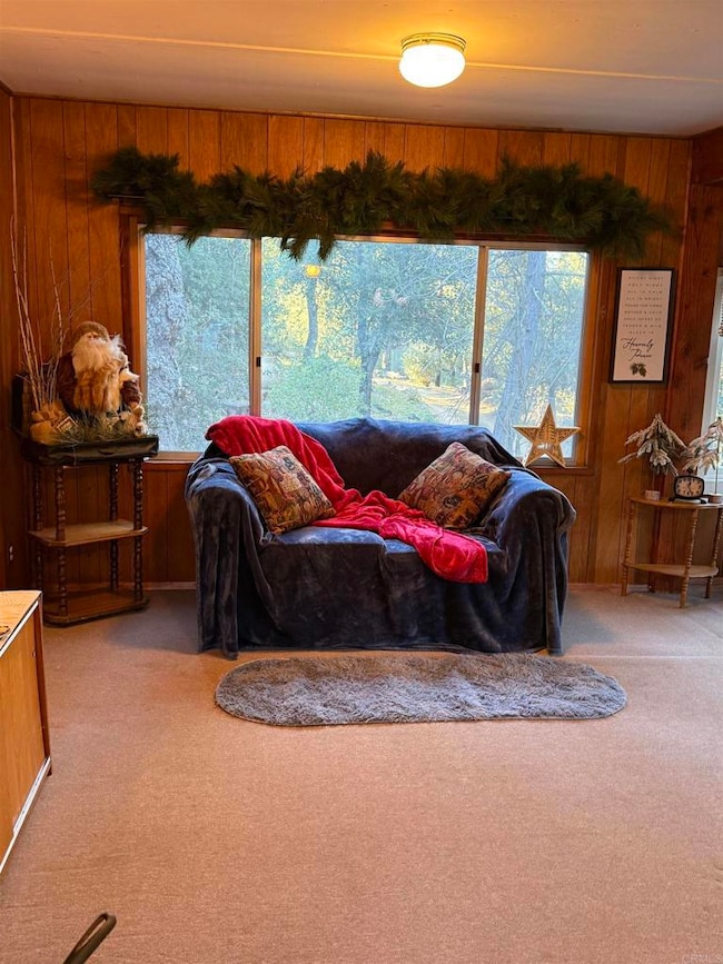 9150- Pine Creek Rd unit 37, Pine Valley, CA 91962 - photo 4