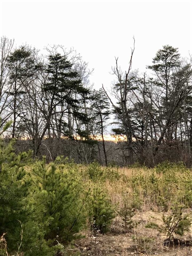 Lots 6, 7, 8 Bear Ridge unit Kodiak Drive, Milton, WV 25541 - photo 5