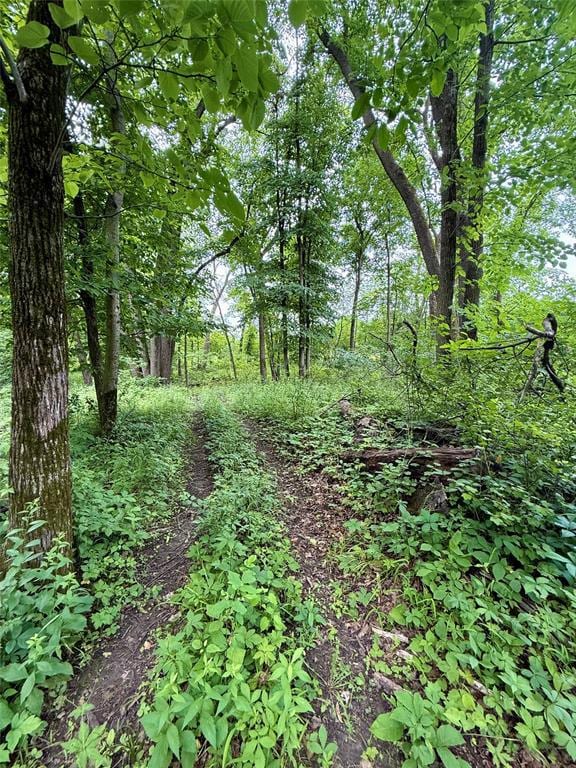 1038 L Ave, Boone, IA 50036 - photo 6