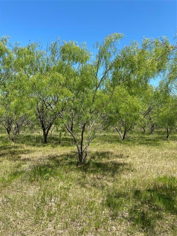 Lot 10 TBD Fm 1181, Ennis, TX 75119 - photo 3