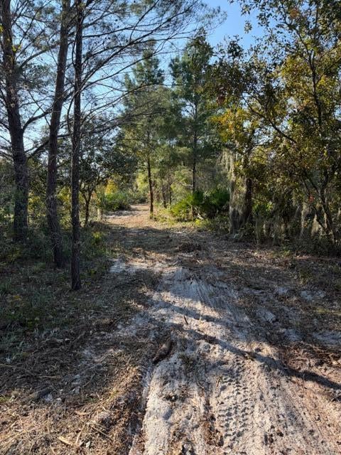 7000 44th Ct, Vero Beach, FL 32967 - photo 2