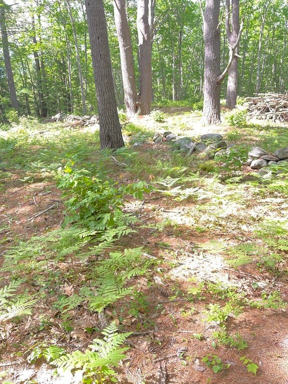 0 Rindge Turnpike, Ashburnham, MA 01430 - photo 3