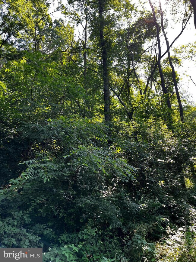 0 Pine Crest Rd, McClure, PA 17841 - photo 4