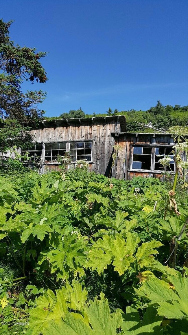 old cabin