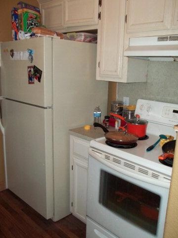 842 N 7th St, Alamo, TX 78516 - photo 6