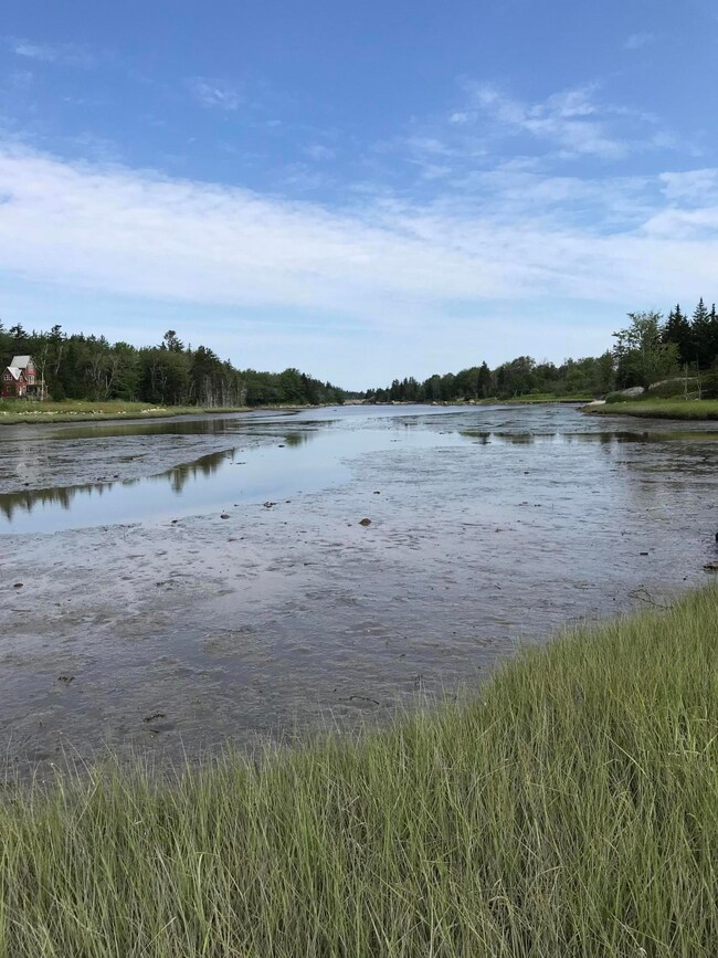 7. potential view of mud flats