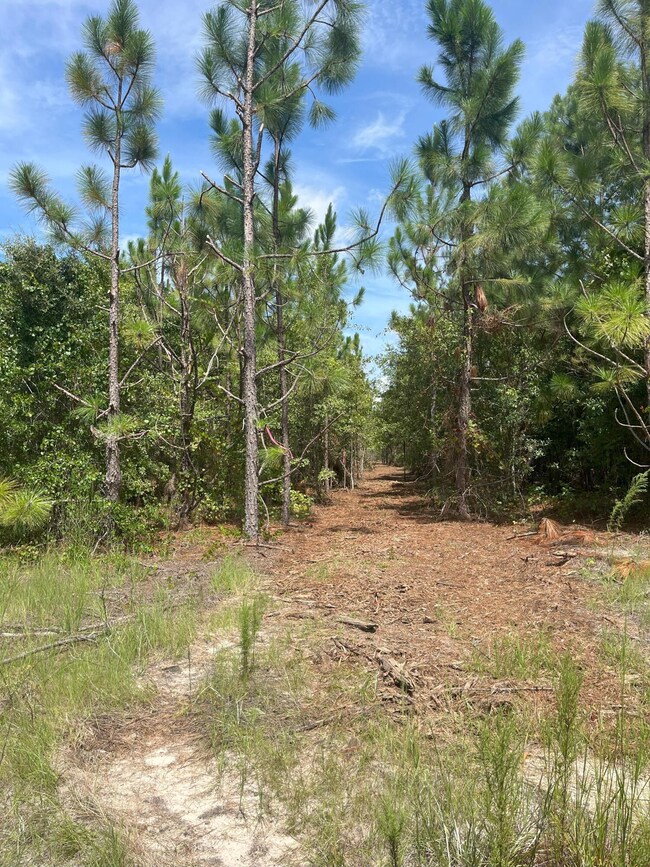 PPF 8 Payne Pond Rd unit PPF 8, Westville, SC 29175 - photo 4