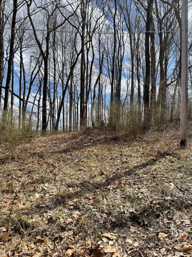 Powell Rd. 3