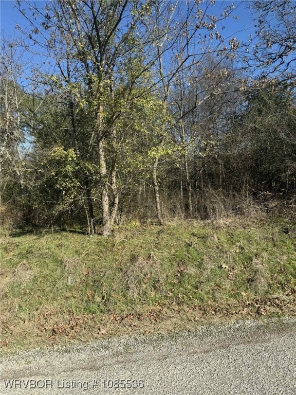 Tract 3 2nd St, Fort Coffee, OK 74959 - photo 2