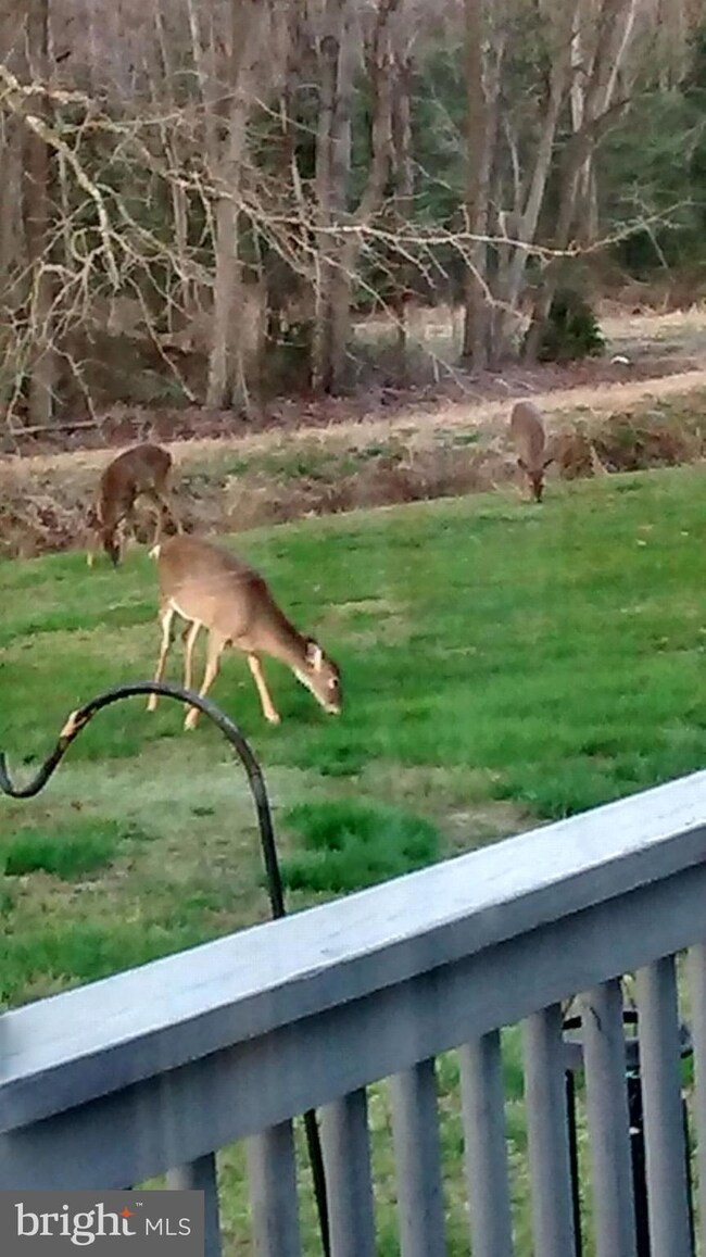 1210 Hollering Hill Rd, Camden Wyoming, DE 19934 - photo 5