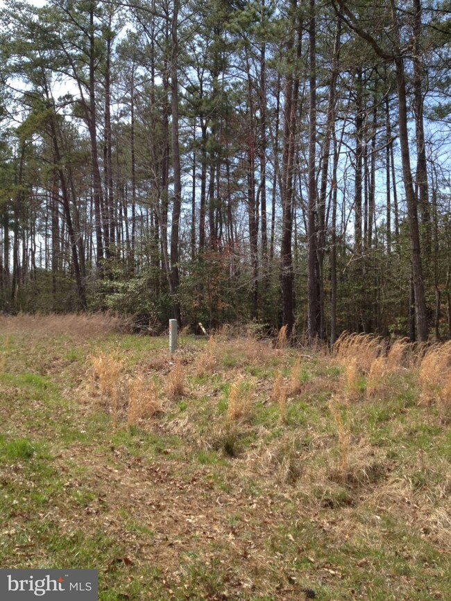 0 Sandy Beach Ln unit 1002228048, King George, VA 22485 - photo 2