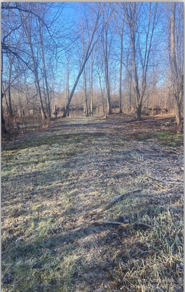 8269 Huron River Dr, Dexter, MI 48130 - photo 7