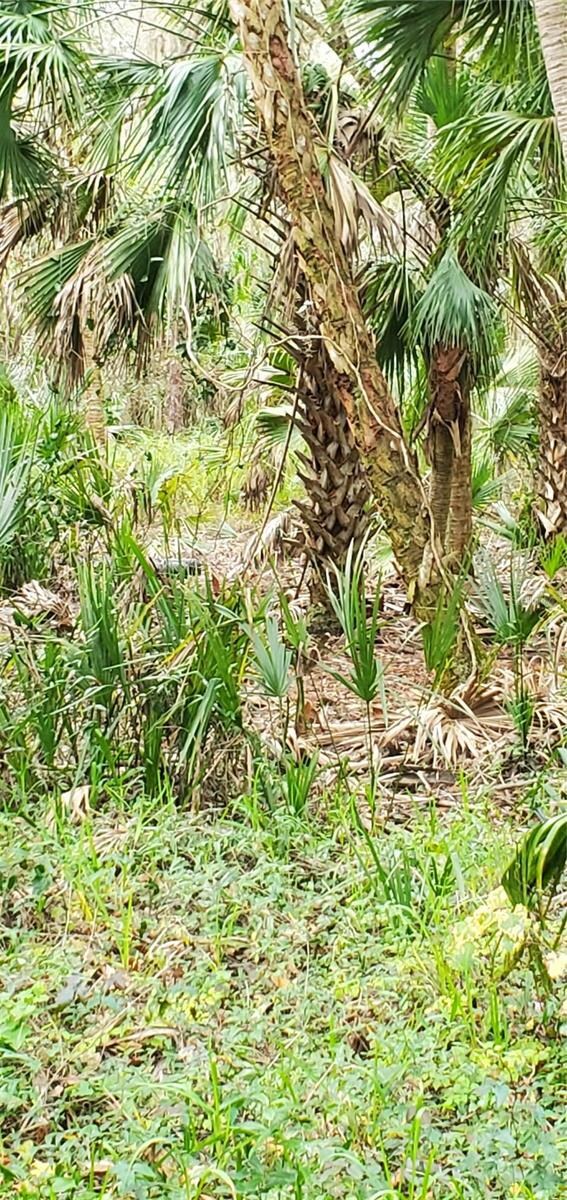 0 W Beach Pkwy unit MFRP4923980, Lake Wales, FL 33898 - photo 2