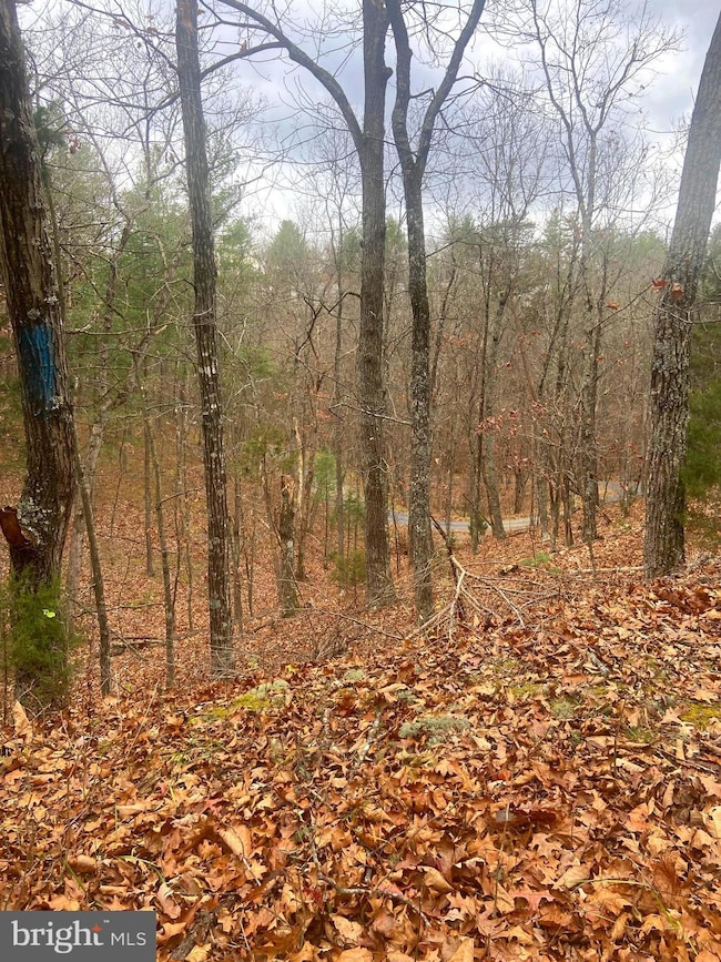 0 Spitz Ln unit VASH2013020, Basye, VA 22810 - photo 3