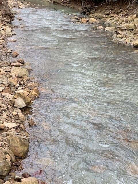 12133 Volcano Rd, West Fork, AR 72774 - photo 7