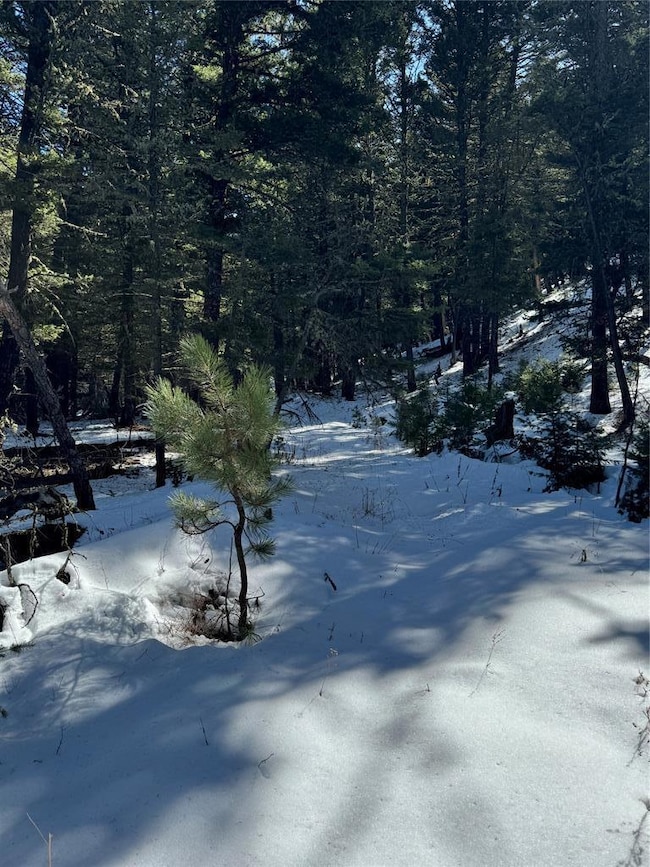 TBD Upper Sawmill Creek Ln, Other - See Remarks, MT 59421 - photo 3